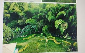 Apartamento de verano cerca al parque del café